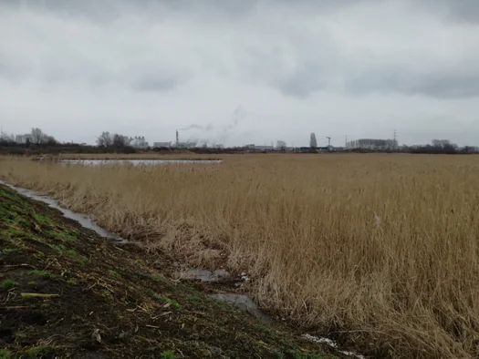 Plains of Zwijndrecht, Antwerp (Belgium)